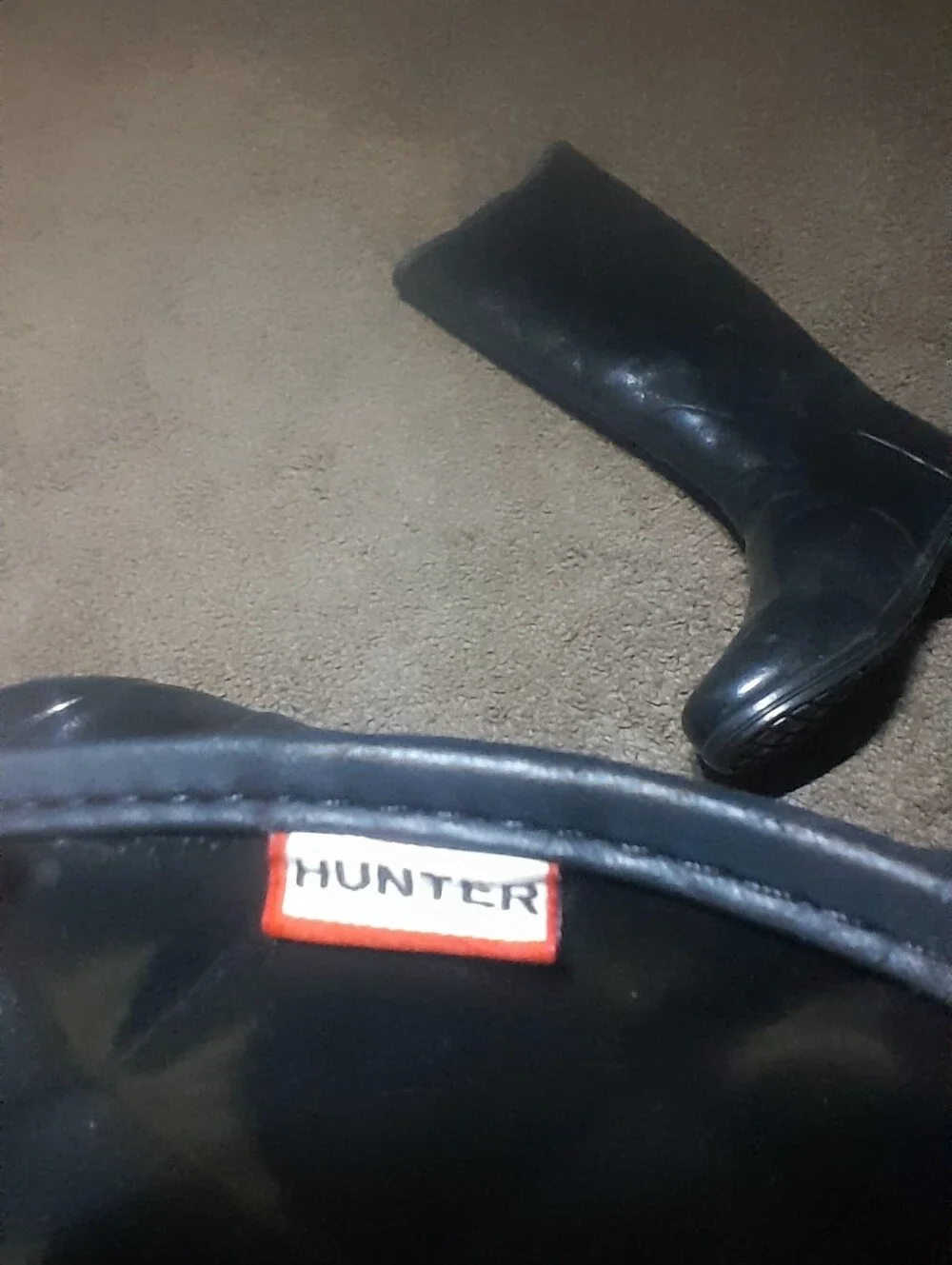 Hunter classic tall